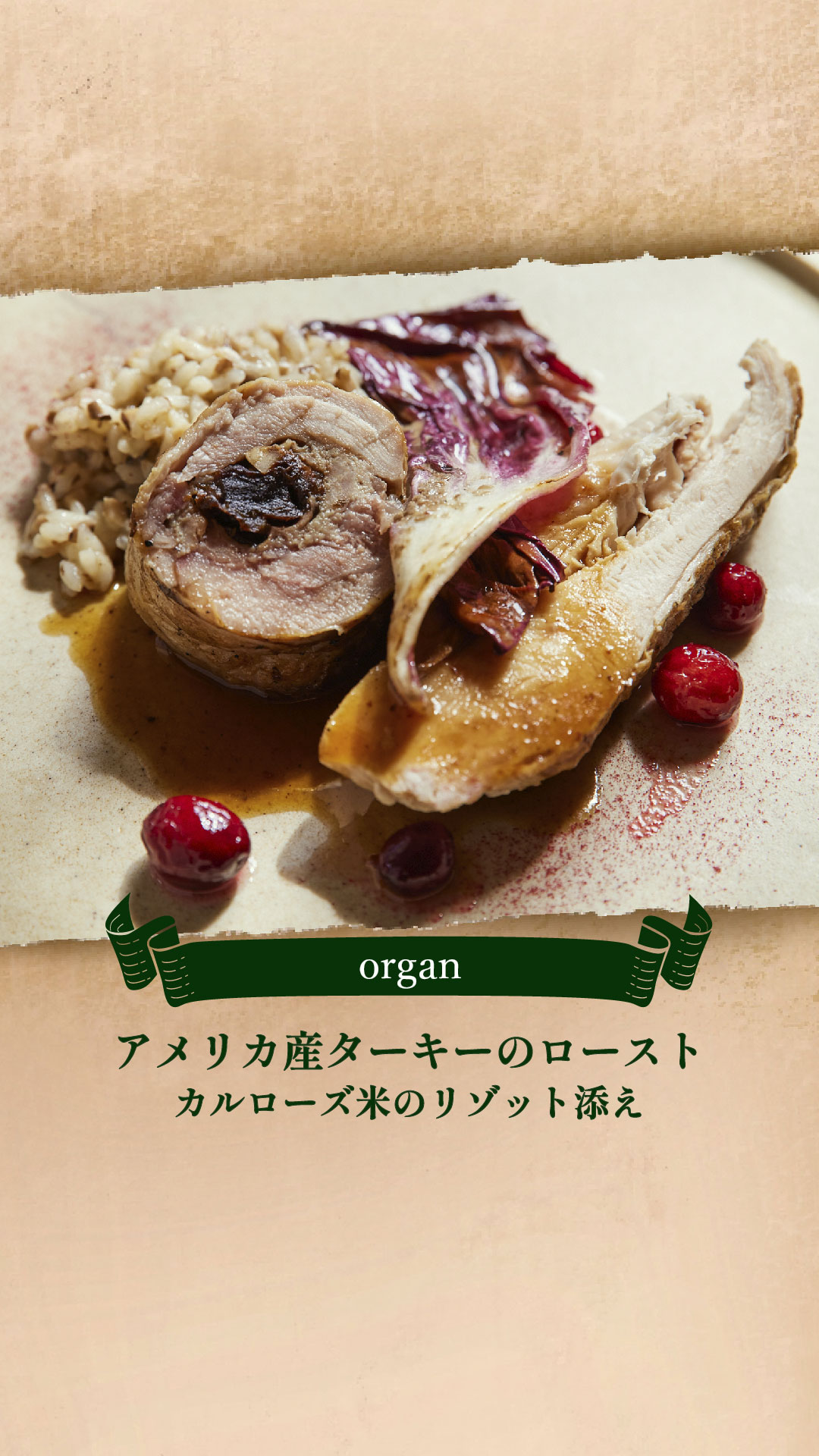 organ